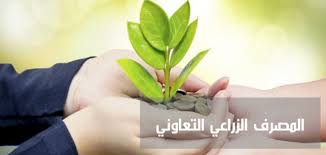النشــــــــــــرة السنوية للنشاط التعاونـــــــي بالقطـــــاع الزراعـــي 